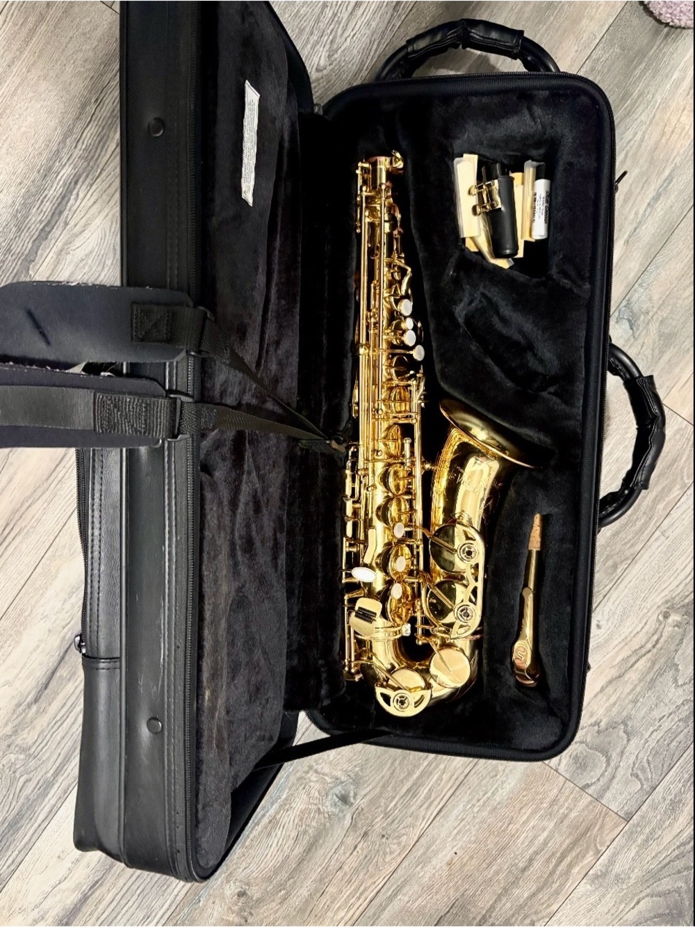 Gold Alto Saxophone with Case - Classic Finish